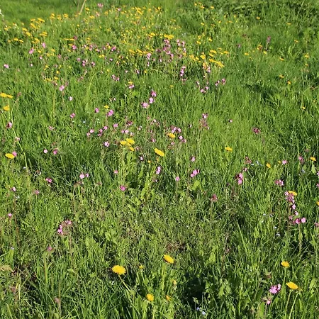 Mitterdorf Almberg 7 شقة *