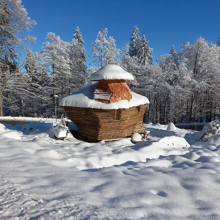 Апартаменты Mitterdorf Almberg 7 *