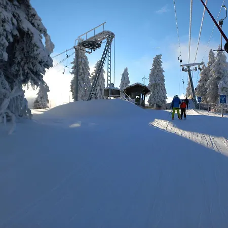 Mitterdorf Almberg 7 Apartman Mitterfirmiansreut