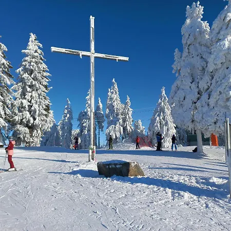 Mitterdorf Almberg 7 Апартаменты *