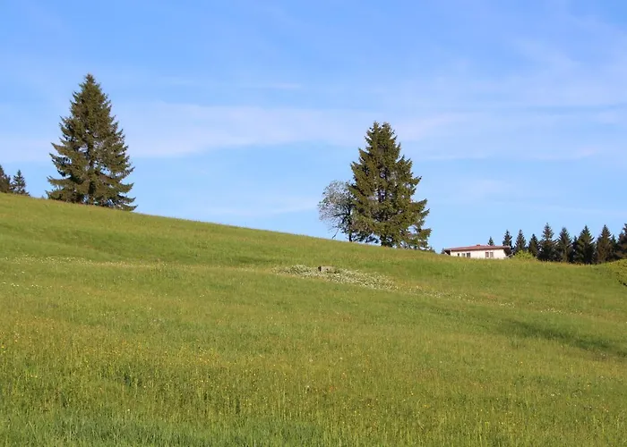 Mitterdorf Almberg 7 아파트