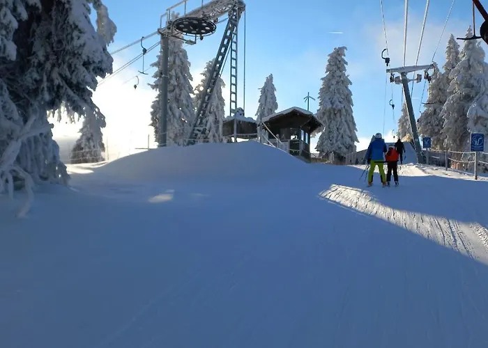 Mitterdorf Almberg 7 아파트 미테르피르미안스로이트