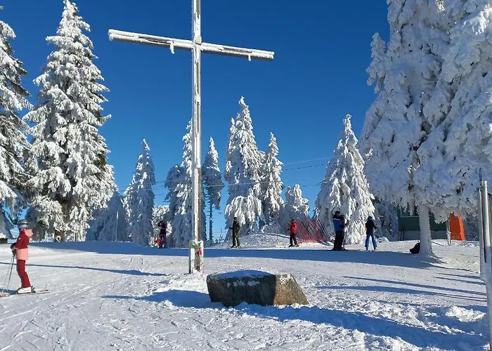 Mitterdorf Almberg 7 아파트 *